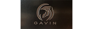 GAVIN
