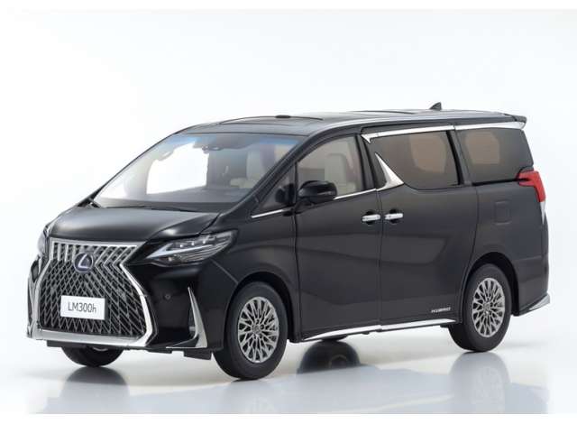 LEXUS LM300H BLACK