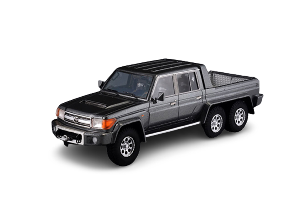 TOYOTA LANDCRUISER FJ79 MDT6X6 SOUTHERN SCORPION 2014 GREY METALLIC