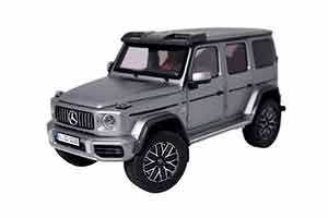 MERCEDES-BENZ G-KLASSE 4X4² W463 СЕРЫЙ