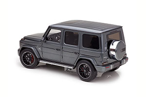 MERCEDES W463 AMG G63 G-CLASS W463 2021 GREY METALLIC — фото 13