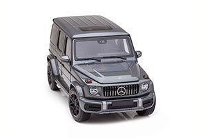 MERCEDES W463 AMG G63 G-CLASS W463 2021 GREY METALLIC — фото 14