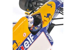 WILLIAMS FW15C ALAIN PROST WORLD CHAMPION 1993 #2 / ВИЛЬЯМС — фото 8