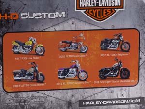 HARLEY-DAVIDSON FLSTSB CROSS BONES 2008 БЕЖЕВЫЙ — фото 6
