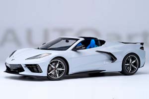 CHEVROLET CORVETTE C8 STINGRAY Z51 2020 LIGHTGREY-METALLIC