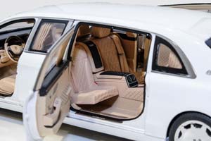 MERCEDES MAYBACH X222 S 600 PULLMAN LWB 2016 WHITE — фото 21