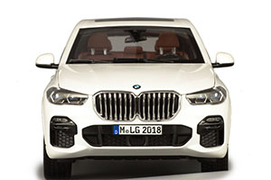 BMW G05 X5 2019 WHITE | БМВ ИКС 5 — фото 15
