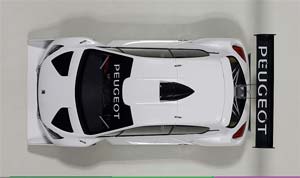 PEUGEOT 208 T16 PIKES PEAK PLAIN BODY VERSION 2013 WHITE — фото 4