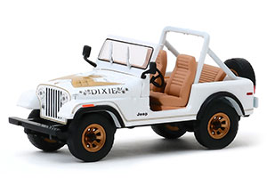 JEEP CJ-7 4x4 GOLDEN EAGLE DIXIE 1979 WHITE