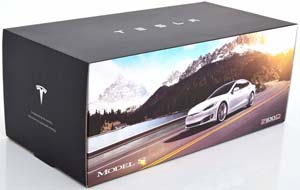 TESLA MODEL S P100D 2016 DARKBLUE-METALLIC — фото 5