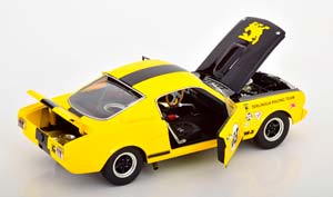 FORD SHELBY MUSTANG GT350R TERLINGUA RACING TEAM 1965 — фото 4