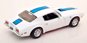 PONTIAC FIREBIRD TRANS AM 1971 WHITE BLUEMETALLIC — фото 2