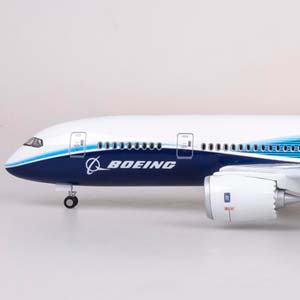 BOEING 787 DREAMLINER / БОИНГ ДРИМЛАЙНЕР (С ПОДСВЕТКОЙ САЛОНА/ДЛИНА 46 СМ) — фото 14