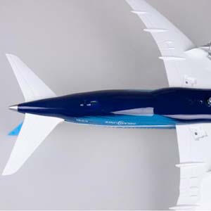 BOEING 787 DREAMLINER / БОИНГ ДРИМЛАЙНЕР (С ПОДСВЕТКОЙ САЛОНА/ДЛИНА 46 СМ) — фото 15
