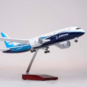 BOEING 787 DREAMLINER / БОИНГ ДРИМЛАЙНЕР (С ПОДСВЕТКОЙ САЛОНА/ДЛИНА 46 СМ) — фото 17