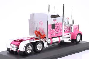 FREIGHTLINER KENWORTH W900 TRUCK YEAR 1998 WHITE / PINK / DECOR / ФРЕЙТЛАЙНЕР КЕНВОРТ W900 ГРУЗОВИК БЕЛЫЙ РОЗОВЫЙ — фото 2
