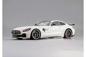 MERCEDES-AMG GT-R C190 WHITE — фото 9