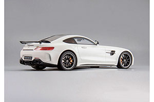MERCEDES-AMG GT-R C190 WHITE — фото 10