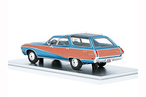 BUICK SPORTS WAGON 1969 LIGHT BLUE — фото 4