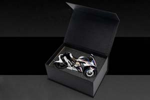 BMW S1000 RR 2025 WHITE / БМВ С1000 РР БЕЛЫЙ (ДЛИНА 23 СМ) — фото 8