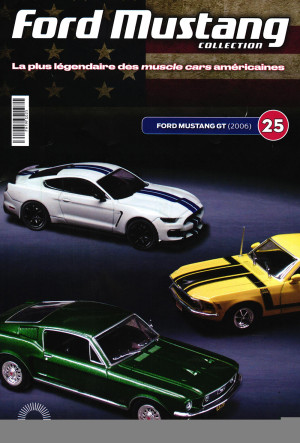 FORD MUSTANG GT 2006, FORD MUSTANG 25 — фото 2