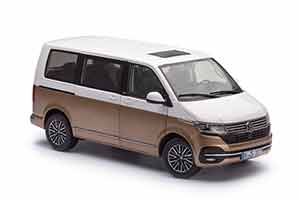 VW VOLKSWAGEN MULTIVAN T6.1 GENERATION SIX БЕЛЫЙ С БРОНЗОВЫМ — фото 15