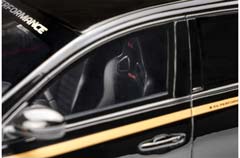 RENAULT MEGANE R.S. TC4 (2020), BLACK GOLDEN — фото 4