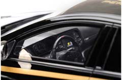 RENAULT MEGANE R.S. TC4 (2020), BLACK GOLDEN — фото 5
