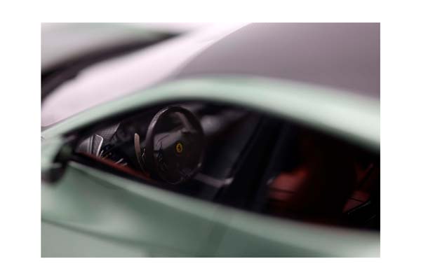 FERRARI PUROSANGUE PIERO FERRARI CARBON BASE DORA GREEN - SPECIAL PACK / ФЕРРАРИ ПУРОСАНГВЕ ПИЕРО ФЕРРАРИ КАРБОН БАЗА ДОРА 1:18 ЗЕЛЕНЫЙ — фото 6