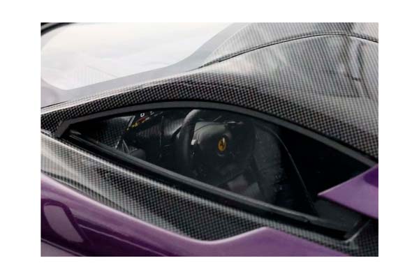 FERRARI F80 CARBON OPTIONAL VIOLA HONG KONG / ФЕРРАРИ Ф80 КАРБОН ОПТИОНАЛ ХОНГ КОНГ 1:18 ЧЕРНЫЙ — фото 12