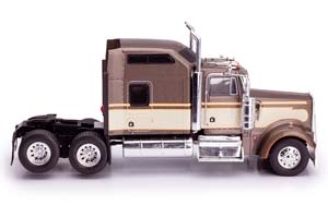 KENWORTH W900 1990 BROWN METALLIC/BEIGE — фото 5