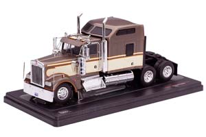 KENWORTH W900 1990 BROWN METALLIC/BEIGE — фото 11