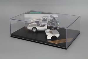 PORSCHE 904 GTS 1964 SILVER WITH REMOVABLE HOOD — фото 5